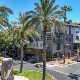 a street with palm trees and buildings
