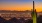 sunset with city and cactus