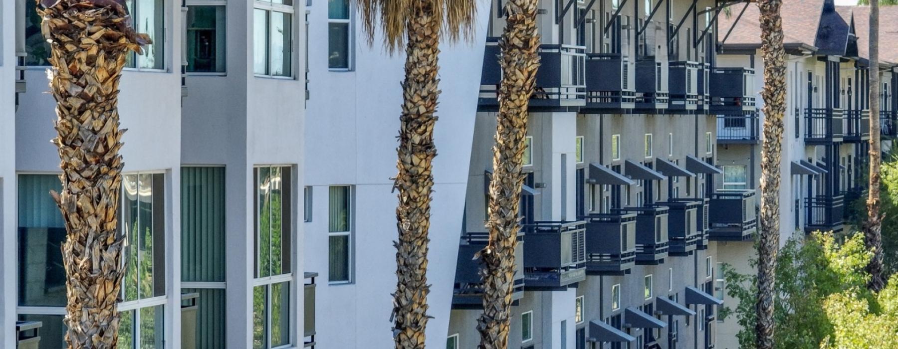 a building with palm trees in front of it